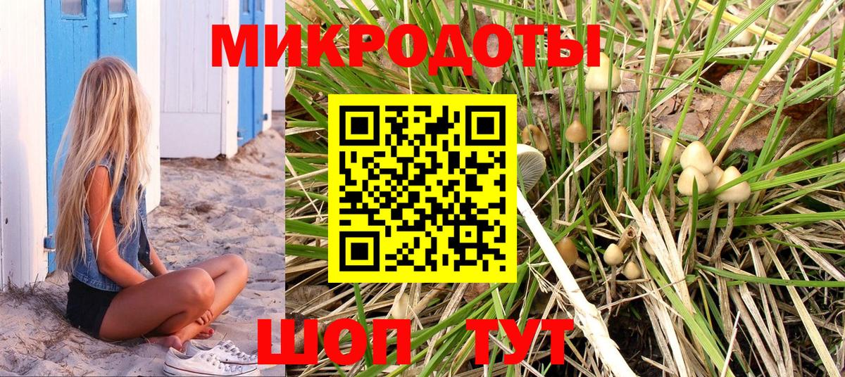 Псилоцибиновые грибы Psilocybe  Псилоцибиновые грибы мицелий  Вход с VPN  Омск 