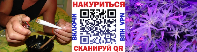 Бошки Шишки сатива купить цена Омск